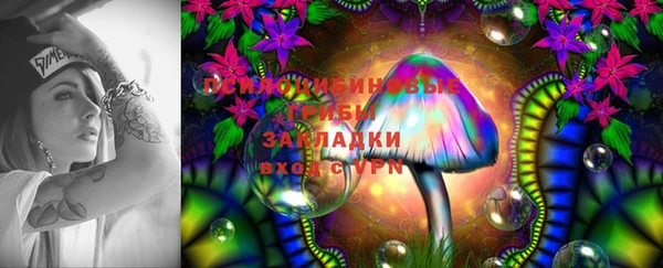 стафф Абинск
