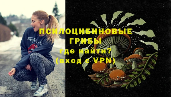 стафф Абинск
