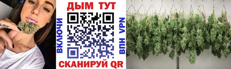 где продают наркотики  Сорск  Марихуана индика 